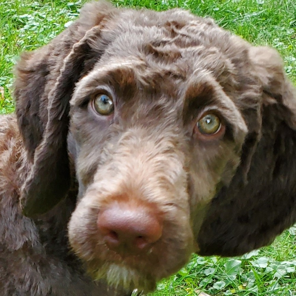 Meet your Posher, Posh